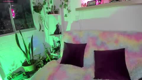 Sarah NEW ACCOUNT online show from 02-03-26, 11:21