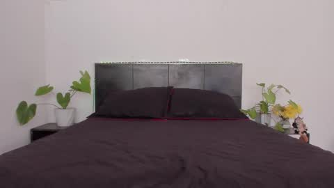 Girl next door online show from 01-13-25, 08:37