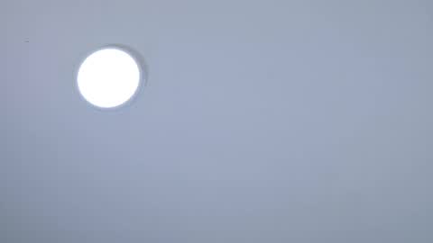 Snapshot of saralugo chatting on 05-15-26, 12:45 Sara Lugo online show from 05-15-26, 12:45