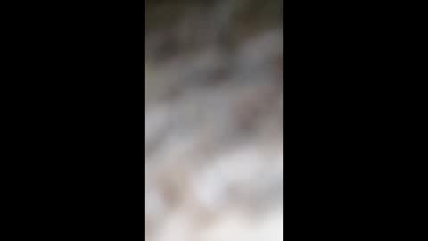 sarfith10 online show from 05-13-26, 08:55