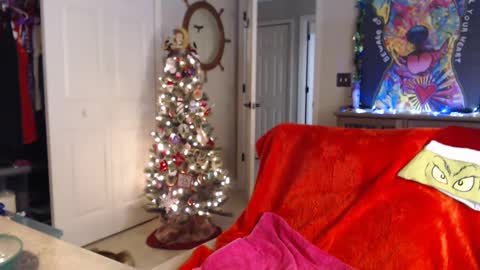 Trish online show from 01-01-25, 07:41