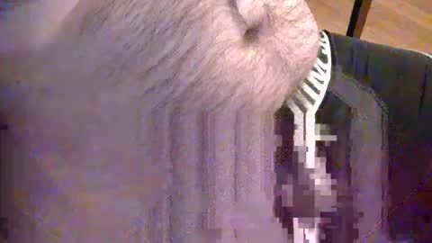 Snapshot of sato58264 chatting on 05-18-26, 06:36 sato58264 online show from 05-18-26, 06:36