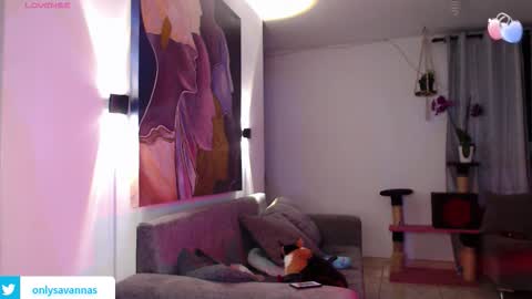 Snapshot of savanna_wallace chatting on 09-10-25, 11:27 Savannaredhair 33 Angelebony33 online show from 09-10-25, 11:27