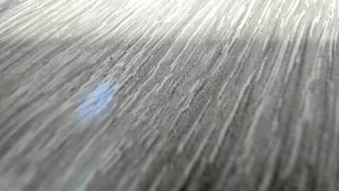 sayo_mao18 online show from 03-17-26, 01:54