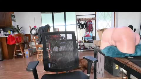 Snapshot of sblair09 chatting on 06-01-26, 12:23 sblair09 online show from 06-01-26, 12:23