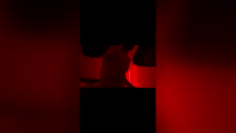 sbsesh online show from 02-14-26, 12:02