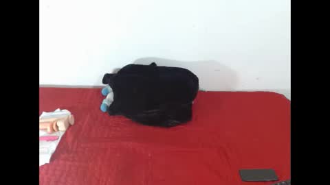 Scarletfox Fox online show from 02-12-26, 07:31