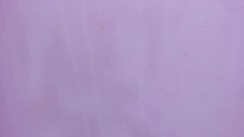 Scarlett 3 online show from 02-28-26, 03:18