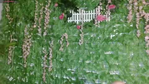 Scarlett Hot online show from 01-16-25, 11:26