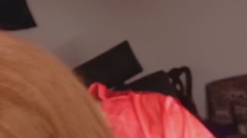 scarlet online show from 02-23-26, 01:19