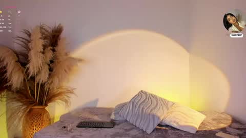 Snapshot of scarlett_keitt chatting on 06-03-26, 02:33 scarlet online show from 06-03-26, 02:33