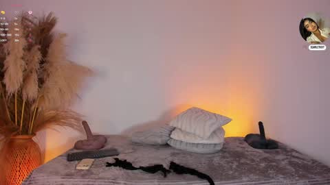 Snapshot of scarlett_keitt chatting on 06-06-26, 11:48 scarlet online show from 06-06-26, 11:48