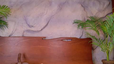 Snapshot of scarlettsinclaiir_ chatting on 06-08-26, 04:02 scarlettsinclaiir_ online show from 06-08-26, 04:02