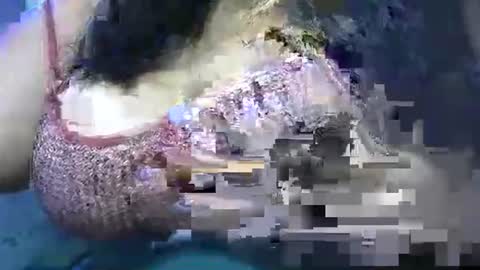 Snapshot of schoco_milf chatting on 04-25-26, 10:40 mai latina online show from 04-25-26, 10:40