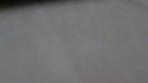 Snapshot of schwaermer1 chatting on 06-18-26, 09:25 schwaermer1 online show from 06-18-26, 09:25
