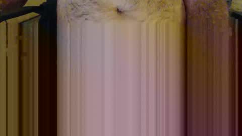 scott1usa online show from 03-06-26, 09:00