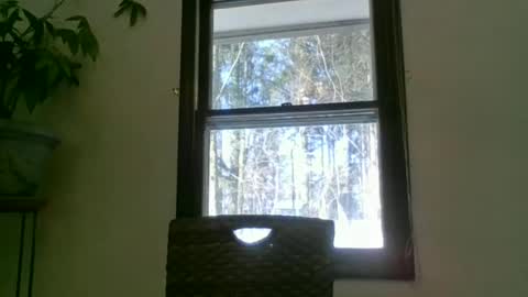 scottpbi52 online show from 01-22-25, 02:14