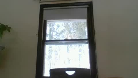 scottpbi52 online show from 02-19-25, 03:16