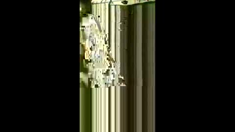 scoutiii online show from 05-01-26, 07:57
