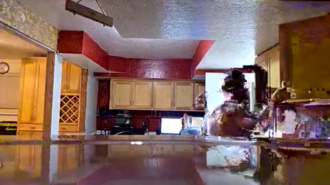 screwnutandbolte online show from 12-05-25, 10:35