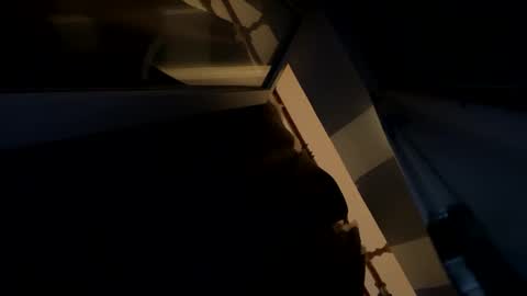 sdddisk online show from 01-22-25, 07:45