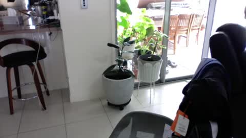 sebastianalll online show from 12-30-24, 12:22