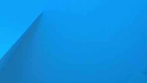 Sebastian online show from 12-02-25, 03:45