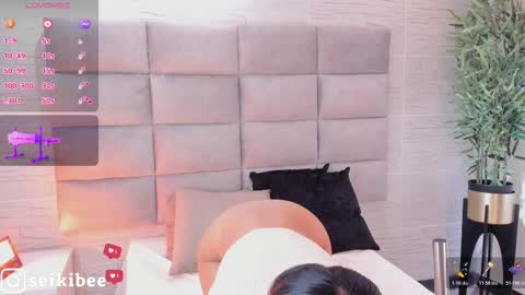 seikibee online show from 02-21-26, 04:24