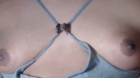 Selda online show from 02-22-26, 07:51