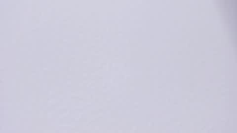 selenne_rouse online show from 04-27-26, 12:19