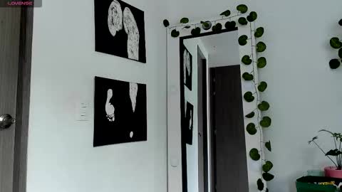 Selyn online show from 02-13-26, 02:24