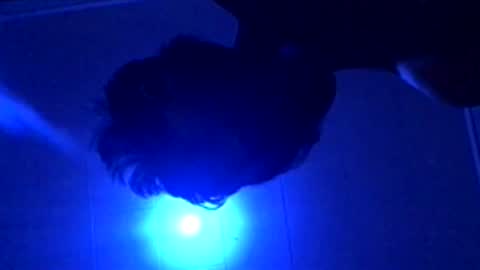 Snapshot of senseisalami chatting on 11-27-25, 09:22 senseisalami online show from 11-27-25, 09:22