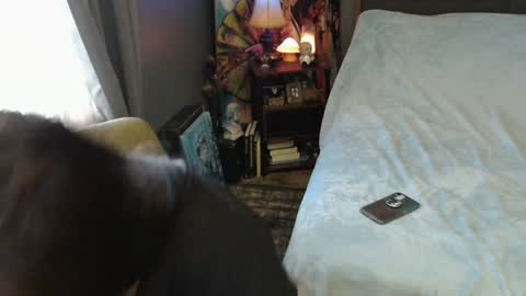 Tara online show from 02-02-25, 04:00