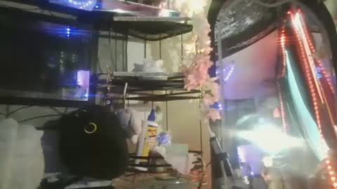 sequoia8888 online show from 10-29-25, 07:26