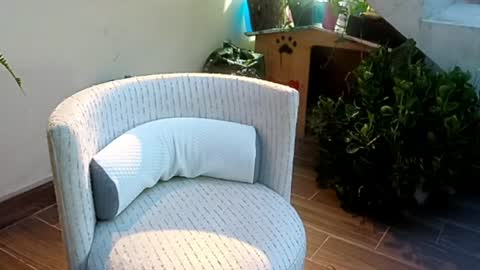 Snapshot of sexander221 chatting on 06-24-26, 12:31 SeXander online show from 06-24-26, 12:31