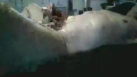 sexboy1437 online show from 11-24-25, 10:15