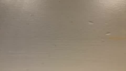 sexislitpuss69 online show from 01-01-25, 11:40