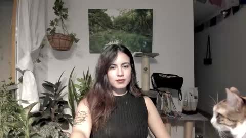         online show from 02-06-26, 01:54