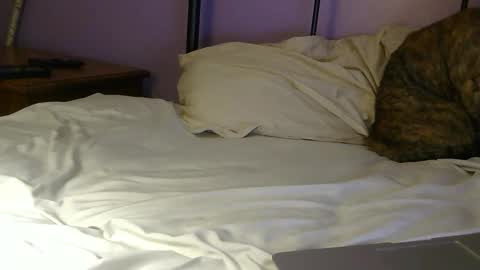 sexxxylibra10 online show from 04-25-26, 07:55