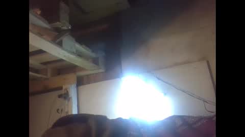 sexy15802 online show from 12-21-24, 02:04