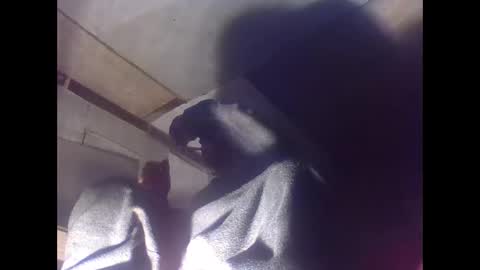 sexy15802 online show from 01-04-25, 07:03