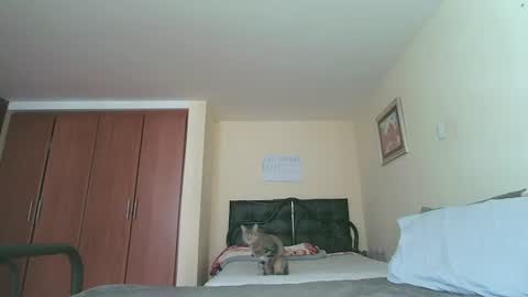 Snapshot of sexyaliceskay chatting on 07-27-26, 02:24 Alice Skay online show from 07-27-26, 02:24