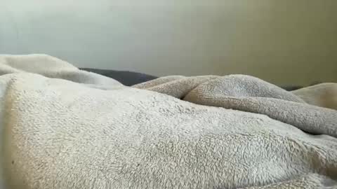 ALAYA  online show from 11-29-25, 11:13