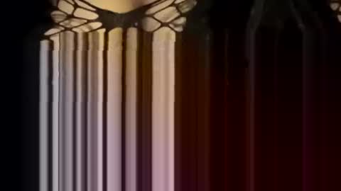 Forever Erotica online show from 01-12-26, 04:23