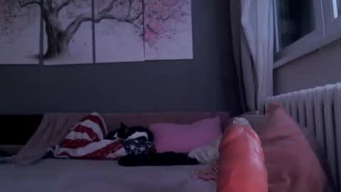     .... ............ Onlyfans   online show from 01-29-25, 11:56