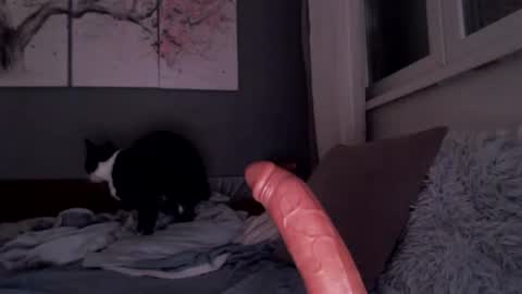     .... ............ Onlyfans   online show from 07-13-26, 08:44