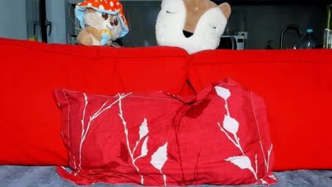 Snapshot of sexyfoxyari chatting on 12-16-24, 05:11 Ari online show from 12-16-24, 05:11