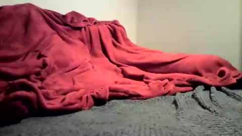 sexygg8331 online show from 12-16-24, 01:10