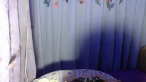 Snapshot of sexykagura chatting on 05-22-26, 04:56 Kagura3 online show from 05-22-26, 04:56