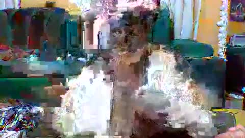 Snapshot of sexylo52 chatting on 05-13-26, 11:07 sexylo52 online show from 05-13-26, 11:07